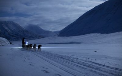 Travel by Dart: Svalbard – The Land You Cannot Die On [EP. 1]