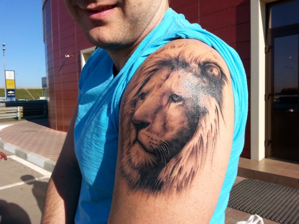 best lion tattoos