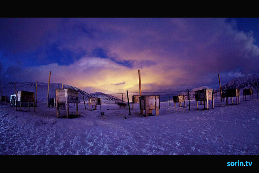 Svalbard Husky Tours