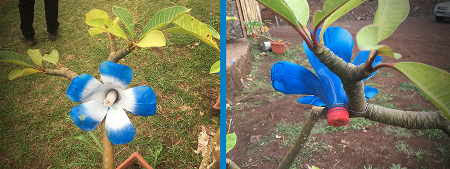 best way to recycle plastic bottles