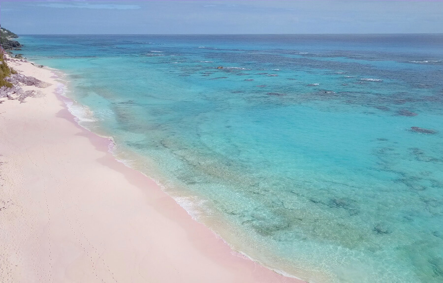 pink sand beach bermuda