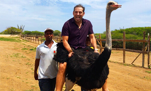 riding ostrich curacao