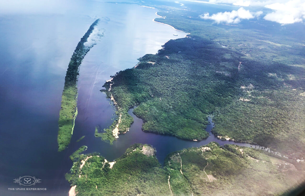 amazon jungle from airplane