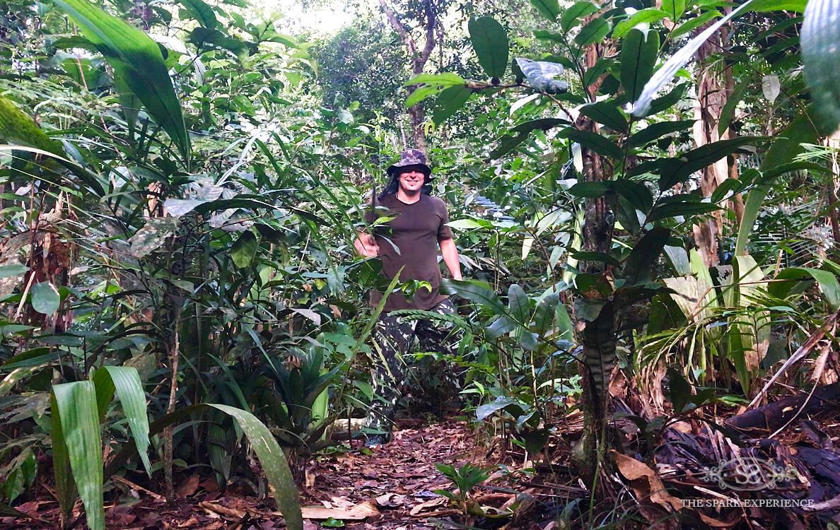 amazon jungle tour
