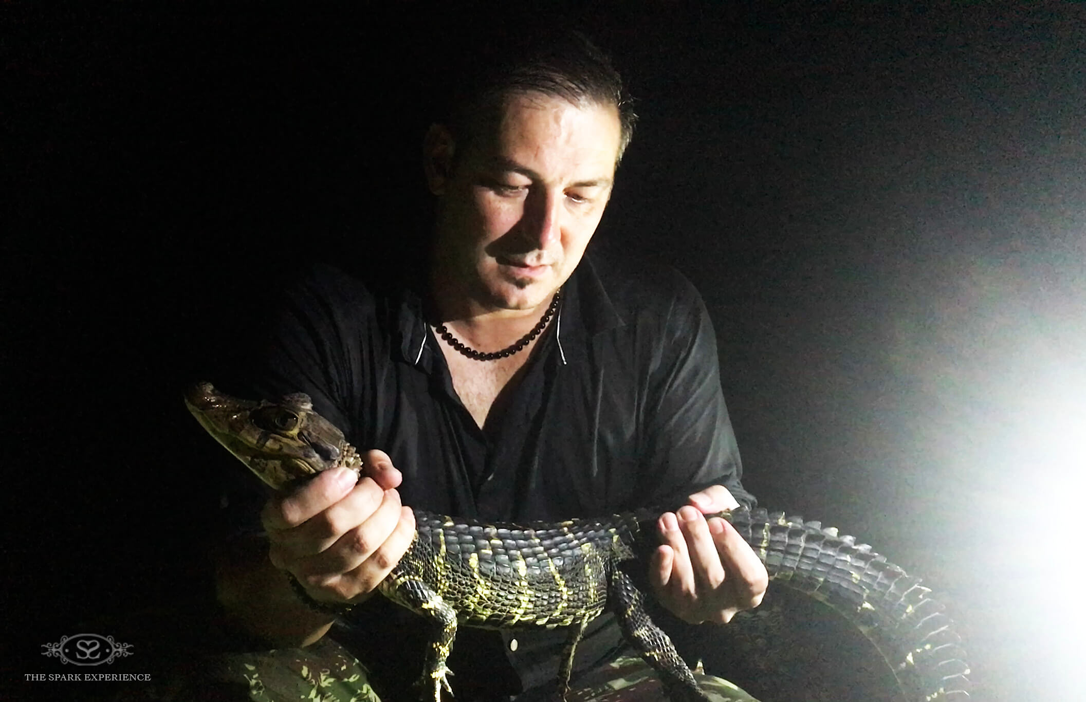 catching caimans amazon jungle