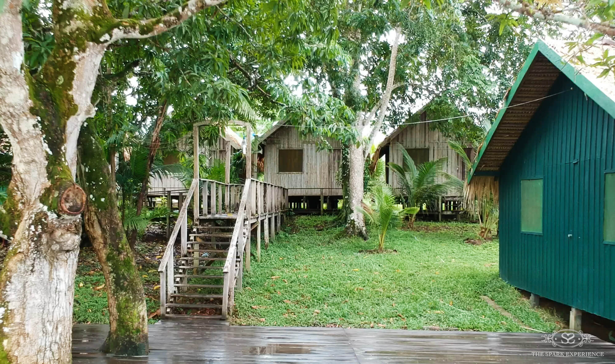 juma inn lodge amazon jungle